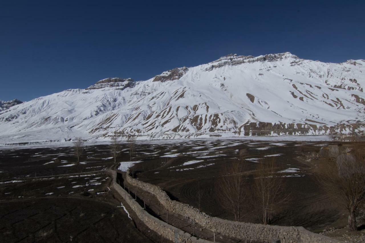 Hotel The Alpinist Cafe And Retreat Kaza Exterior foto